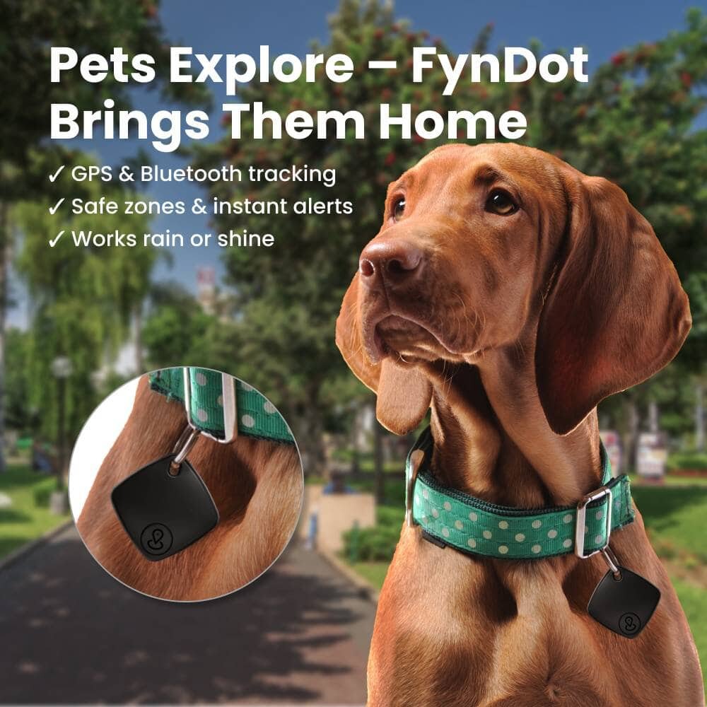 FynDot image